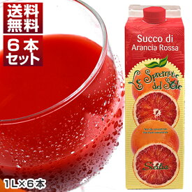 【送料無料】ブラッドオレンジジュース イタリア シチリア産 オルトジェル 1L×6本 冷凍食品 冷凍食品のみ同梱可
