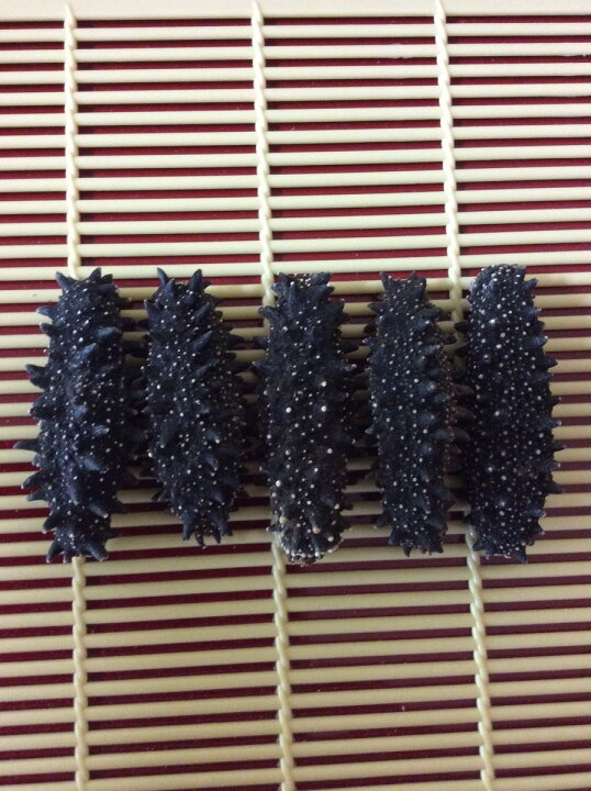 楽天市場】化粧箱入 北海道産 乾燥なまこ 500G125個前後入 A級品 