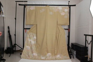 �󂠂�X�܃L�����[�݌� �����K�⒅ ���y(�e�E�R�X���X)���j�� ���t ���m�� �O�タ��߂񐶒n�g�p �������� ��������