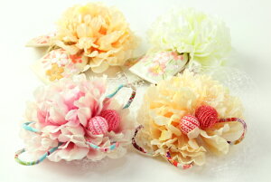 󂠂  l⌋܂ j wAANZT[ [֕s