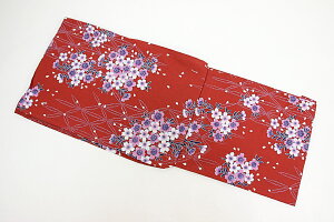    䂩 킢 ԕ   a  t[TCY v^ dďオ fB[X wl g ÓT 䂩Pi kis gbJ