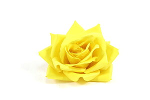  󂠂  ߗp U  l ܎O a Ԕ  p q fB[X pƕi      sN  Vo[  