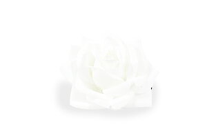  󂠂  ߗp U  l ܎O a Ԕ  p q fB[X pƕi      sN  Vo[  