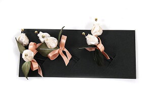  󂠂  U  ܎O  Ǝ a Ԕ  p q fB[X wl nCWjA ii [֕s 