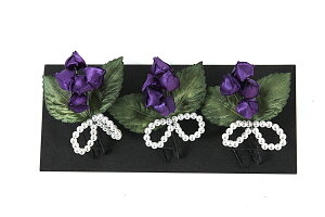  󂠂  U  ܎O  Ǝ a Ԕ  p q fB[X wl nCWjA ii [֕s   wAANZT[ 