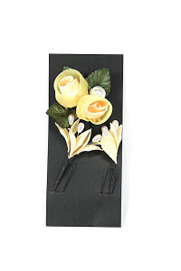 󂠂  U  ܎O  Ǝ a Ԕ  p q fB[X wl nCWjA ii [֕s   wAANZT[  I 