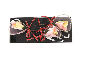  󂠂  U  ܎O  Ǝ a Ԕ  p q fB[X wl nCWjA ii [֕s   wAANZT[ 