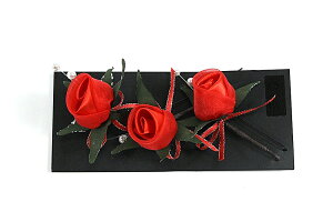  󂠂  U  ܎O  Ǝ a Ԕ  p q fB[X wl nCWjA ii [֕s   wAANZT[ 