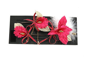  󂠂  U  ܎O  Ǝ a Ԕ  p q fB[X wl nCWjA ii [֕s   wAANZT[ 