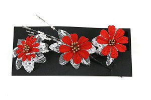 󂠂  U  ܎O  Ǝ a Ԕ  p q fB[X wl nCWjA ii [֕s   wAANZT[  I 