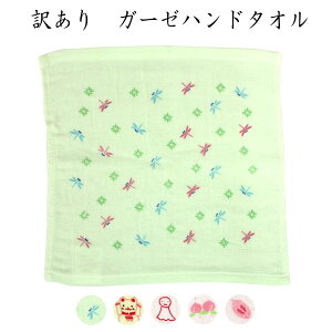 󂠂 K[[nJ` nh^I \K[[ pC 100% ͂񂩂 aG K[[nh^I qq