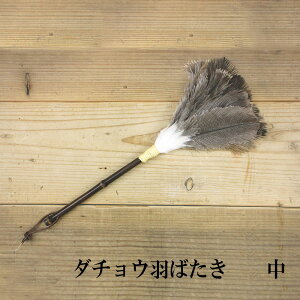  _`EH΂  쉮 炵̓ { pi g Q } ̉a̍ |p ̂͋ɕłSa炮ił 20-1300