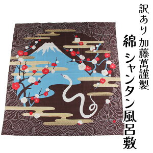  ݋ސ u֏ː(͂傤)vxȎOЕC~ V^ 傫TCY ӂ낵 100 a a ݂ӂ fp[guh 唻 obO ו  i 1