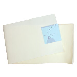 󂠂 ߑ ni/x[Wj  o[Vu fB[X   䂩p J^  P  360cm  Б 1_̂݃[OK ݃J[ p wl AEg