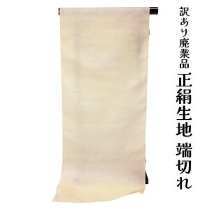 󂠂 n nM [؂ f  |  n pb`[N m CN obO ɍœK ͂ m VN 100% n  ݂邵  a   