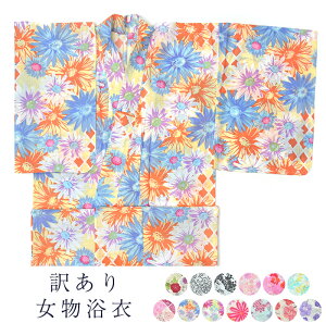 󂠂   fB[X wlp ςD 䂩Pi  100%  킢    IV