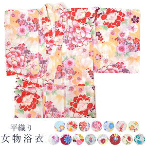   D fB[X wlp 䂩Pi dďオ 䂩Pi 100% Rbg 킢    IV