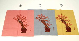 [֑@C~ij l~~ { aG a a ӂ낵 a ֗  ۑ ٓ 3܂Ń[OK 