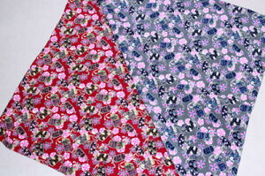 ߂񕗘C~ idɈĕj j o Ď  Vzj JƋLO nLO Cj N Ε  ̓