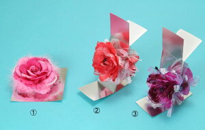 󂠂 ERT[W iwANbv^Cvj a X܃L[ wACN  킢 傫 a 䂩 U Ǝ   [֕s