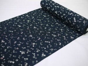 䒅 󂠂X܃L[݌ Oタ߂񐶒n { Yn   JWA i m t   X o  