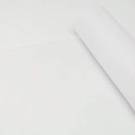 カラー不織布 生地 無地 ファブリック 手芸 ロール状スタンダードNO.11　ホワイト　1,000mm幅×5m巻