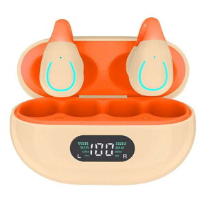 `Cz CXCz Bluetooth5.3 C[Jt^ ő K Ȃ璮 ENC}CN mCYLZO HiFi [dP[Xt