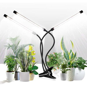 A琬Cg led Nbv tXyNg ApCg ͔|  360xA[ Nbv  ^C}[ A͔|pled 琬Cg ϗt A