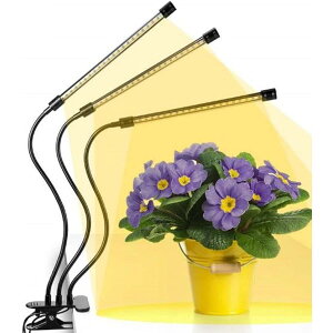 A琬Cg led Nbv tXyNg ApCg ͔|  360xA[ Nbv  ^C}[ A͔|pled 琬Cg ϗt A