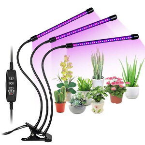 A琬Cg led Nbv tXyNg ApCg ͔|  360xA[ Nbv  ^C}[ A͔|pled 琬Cg ϗt A