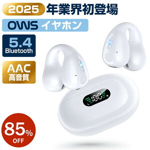 CXCz C[Jt Cz ǂȂ u[gD[X Cz Bluetooth 5.4 cʕ\ iPhone/AndroidΉ `Cz uڑ 65HAĐ Type]C[d I[vC[^ 