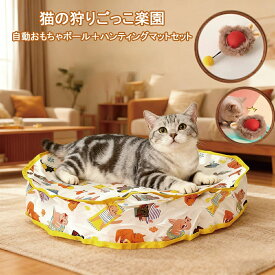 自動で光って動く 猫用おもちゃボールセット 猫おもちゃ 電動ボール 自動 猫用 ペット玩具 3つの遊びモード搭載・ハンティングマット付き／運動不足＆ストレス解消・Type-C充電・水洗い対応・安全素材採用 猫用 ペット玩具