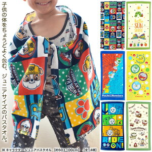 2025Vǉn LN^[ WjAoX^I mS28n 50cm×100cm oX^I q ~joX^I  LbY pEpg[ fBYj[ vZX gCXg[[ J[Y |P