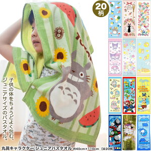 2025Vǉn LN^[ fBYj[ WjAoX^I m40cm×110cmyS20z oX^I q   Wu gg ^I [~ ~btB[ vZX TI 