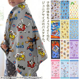 2026�V���ǉ��n �L�����N�^�[ �W���j�A�o�X�^�I�� �m�S25���n ��50cm×100cm �o�X�^�I�� �q�� �~�j�o�X�^�I�� ������ �L�b�Y �p�E�p�g���[�� �|�P���� �|�P�b�g�����X�^�[ �f�B�Y�j�[ �͂�؂���