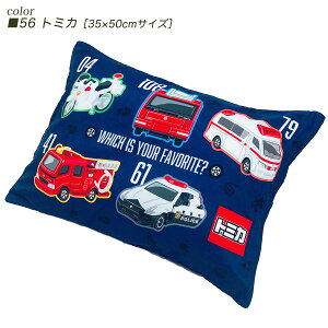 Jo[ LN^[ q pTCYmS24n2TCY 28×39cm/35×50cm LN^[ LbY ܂Jo[ |P sJ`E fBYj[ pEpg[ h LeB }CfB