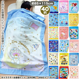 タオルケット 子供 【2025年柄追加】キャラクター お昼寝ケット ［全40柄［約85×115cm【送料無料】 保育園 ハーフケット ディズニー ポケモン グッズ トミカ ちいかわ トトロ ジブリ ミッフィー カービィ ミニー パウパトロール キティ
