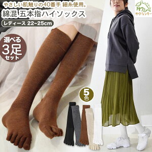 Iׂ3Zbgz ܖ{w nC\bNX fB[X ȍ C S5Fm 22~25cmnmn 5{w\bNX ̖D ܖ{w\bNX ׎ \bNX ₦  킢 O 