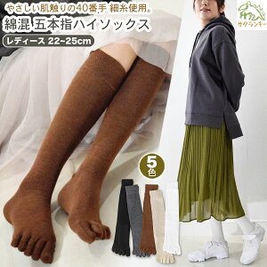 ܖ{w nC\bNX fB[X ȍ C S5Fm 22~25cmny4_ȏő[ցz 5{w\bNX ̖D ܖ{w\bNX ׎ \bNX ₦  킢 O 