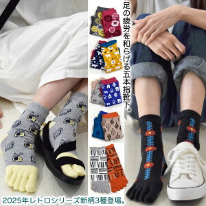 2025NVǉ C 5{w fB[Xm N[ 22~24cmn k & a_ S23 ܖ{w \bNX C  킢 ₦ O C  T|[^[ S 藚