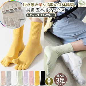 Iׂ3Zbgz ܖ{w C fB[X  98% ̖D \bNX S8Fm 22~25cmN[nmn 5{w ܖ{w\bNX ׎ \bNX ₦  킢 O 