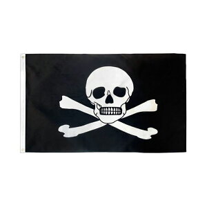 �A�E�g���b�g �y�A�����J���t���b�O�z �p�C���[�c Skull Poison New Flag�i�|�C�Y���j�y���[���։z 3×5ft�i150×90cm�j FP-038
