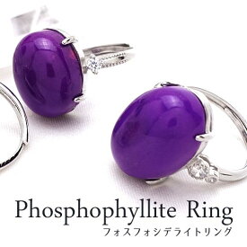 フォスフォシデライト 指輪 フリーサイズ リング 調整可能 Phosphosiderite 斜燐鉄鋼 メタストレングス石 ランダム発送 メール便可 [M便 1/20]