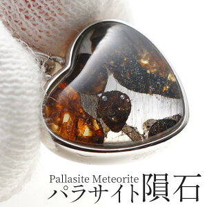 pTCg覐 y_g eICg y_ggbv Pallasite Meteorite ΓS覐 p[Xg[ VR _  [M 1/20]