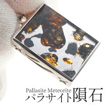 楽天市場】パラサイト隕石の通販