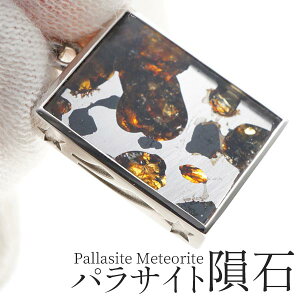 �p���T�C�g 覐� �y���_���g ���e�I���C�g �y���_���g�g�b�v Pallasite Meteorite �ΓS覐� �I���r�� �p���[�X�g�[�� �V�R�� �����_������ �������� [M�� 1/20]