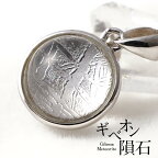 ギベオン ペンダント ギベオン 隕石｜ギベオン隕石 ペンダントトップ ネックレス gibeon meteorite 鉄隕石 pendant メンズ レディース パワーストーン 天然石 ランダム発送 メール便送料無料 [M便 1/20]