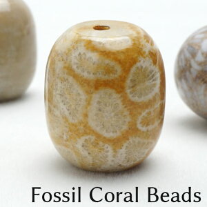 _16܂Ń|Cg2{^ X tHbVR[ ^r[Y 1 ό`r[Y HH ANZT[p[c _ [։ [M 1/10] 712-127