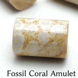 X tHbVR[  1 ^u A~bg  Ȃ ~ _ [։ [M 1/10] 712-128