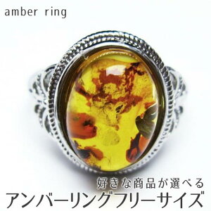 Ao[ O t[TCY DȏiIׂ amber ring   w CG[Ao[ ANZT[ Y fB[X _ [։ [M 1/20]